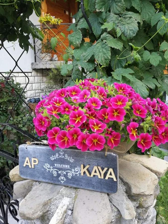 Apartment Kaya موجسترانا المظهر الخارجي الصورة